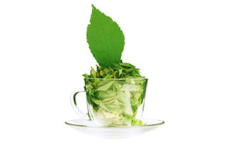 梅子绿茶