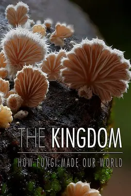 真菌王国免费观看