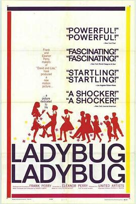 瓢虫雷迪ladybug