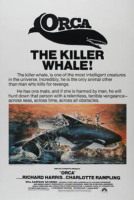 杀人鲸图片